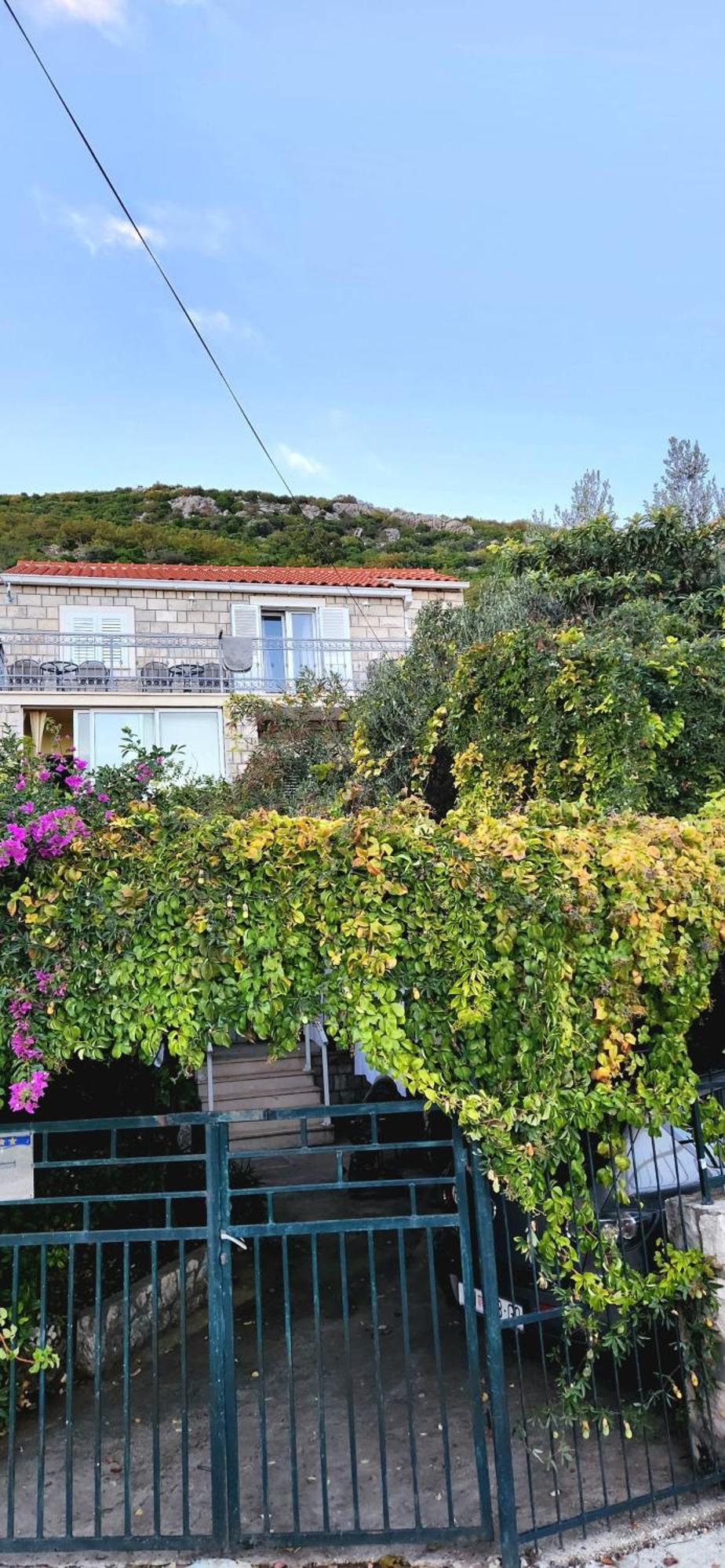 Tranquility And Nature In 4 Bedroom With Sea View Mokošica Dış mekan fotoğraf
